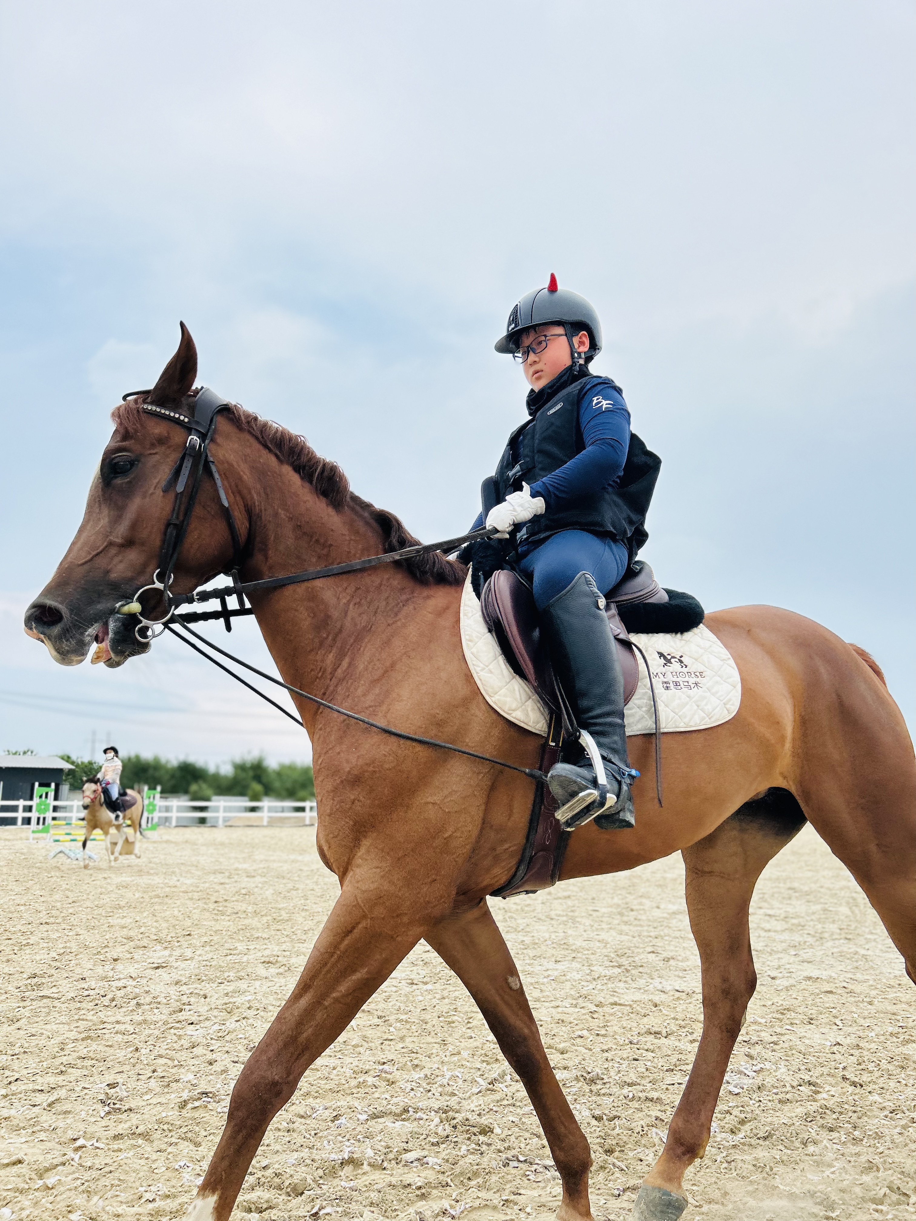 马术比赛选手驾驭稳健,夺魁而归 马术比赛选手驾驭稳健,夺魁而归