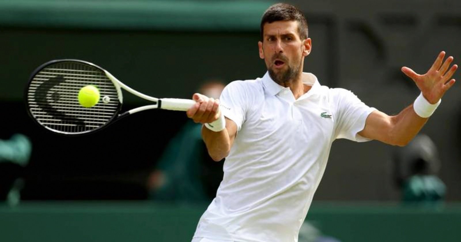 蒙特卡洛大师赛碾压ATP总决赛，德约科维奇统治全场的简单介绍